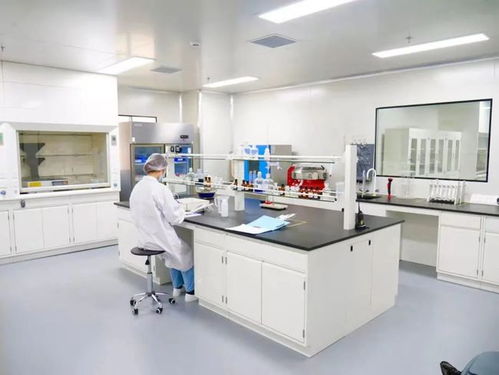 專業見證 品質護航——走進妙可藍多奶酪工廠，直擊品牌硬實力